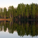 images images