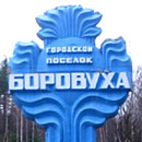 Ожидается, что в преддверии двухсотлетнего юбилея г.п.Боровуха обзаведется собственной официальной символикой: поселковые власти объявили конкурс на разработку герба и флага исторического населенного пункта