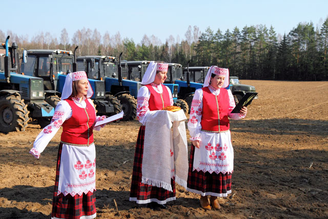 Засевки в «Кушликах». Фото Николая Авсеева